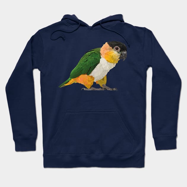 black headed caique Hoodie by obscurite